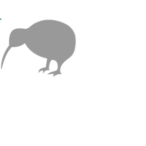 Grey Kiwi Bird