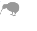 Grey Kiwi Bird
