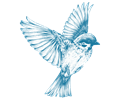 Vintage Blue Bird