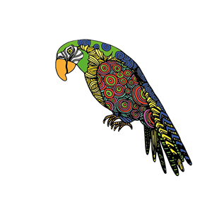 Detailed Parrot