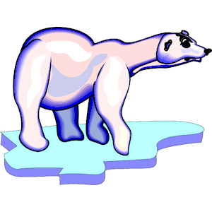 Polarv Bear