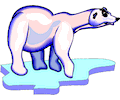 Polarv Bear