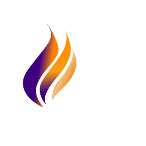 TBBS Flame Logo