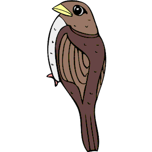 Sparrow 08