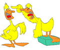 Ducks Yelling