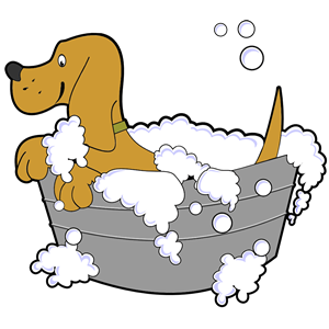 Dog In Washing Tub