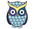 Wide Eyed Owl 2