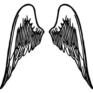Angel wings 5