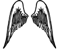 Angel wings 5