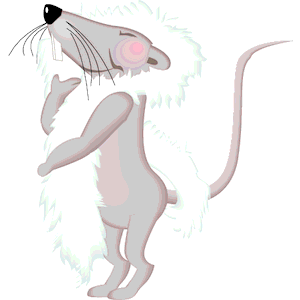 Rat with Feather Boa