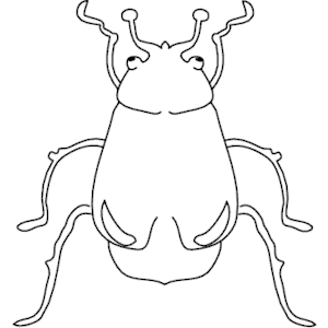 Beetle 02