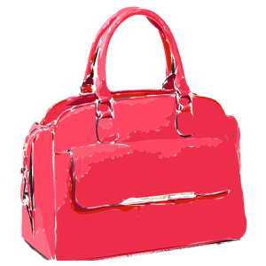 Bright Pink Bag
