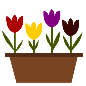 Potted tulips vectorized