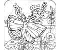 Coloring Book - Butterfly