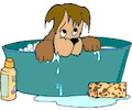 Dog Bathing