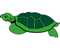 Turtle 2