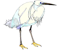 Heron 12