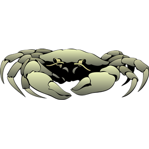 crab 01