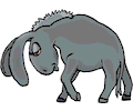 Donkey - Sad 2