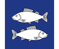 Fischenthal - Coat of arms