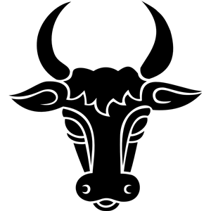 Bull's head 3