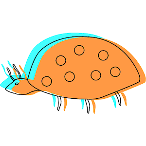 Bug 12