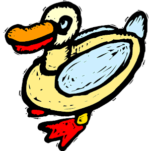Duck 029