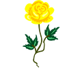 Rose 17 (yellow)