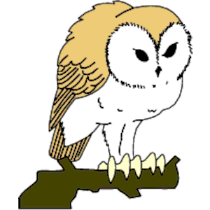 Owl 09