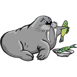 Walrus with Fish