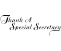 Special Secretary