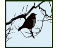 Bird silhouette 04