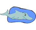 Dolphin 5