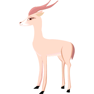 Gazelle 8