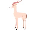 Gazelle 8