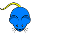 Blue Mouse Yellow Tail