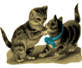 Kittens, One with Blue Ribbon