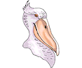 Pelican 10