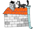 Cat on House