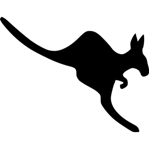 Kangaroo 2