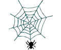 Spider Web 4