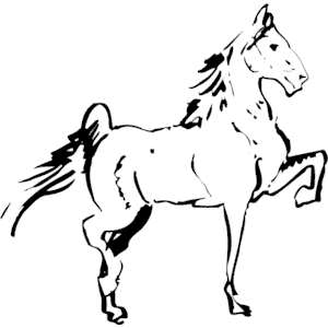 Horse 006