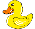 Duck 016