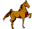 Horse - Tennessee Walker