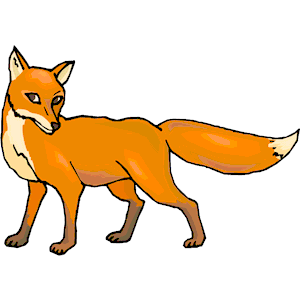 Fox 08