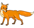Fox 08