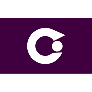 Flag of Iwase, Fukushima