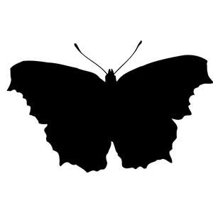Butterfly silhouette 2