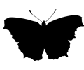Butterfly silhouette 2