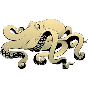 octopus 01